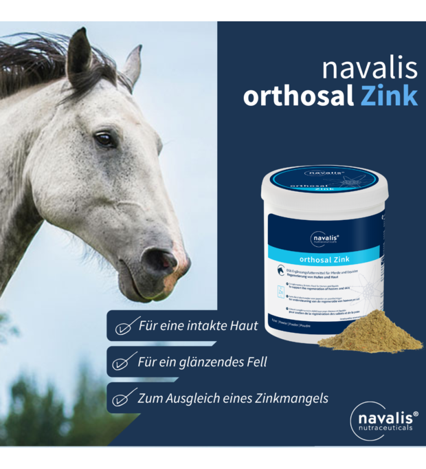navalis zink pferd haut