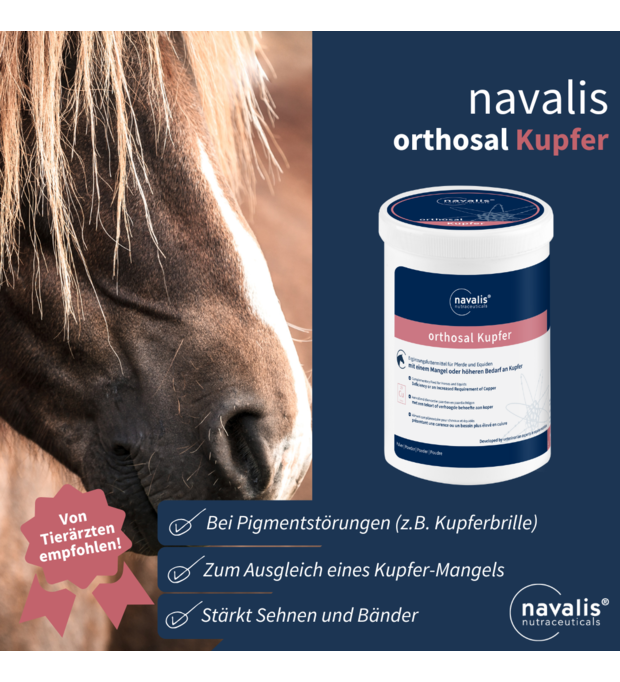 navalis orthosal Kupfer pferd tierarzt