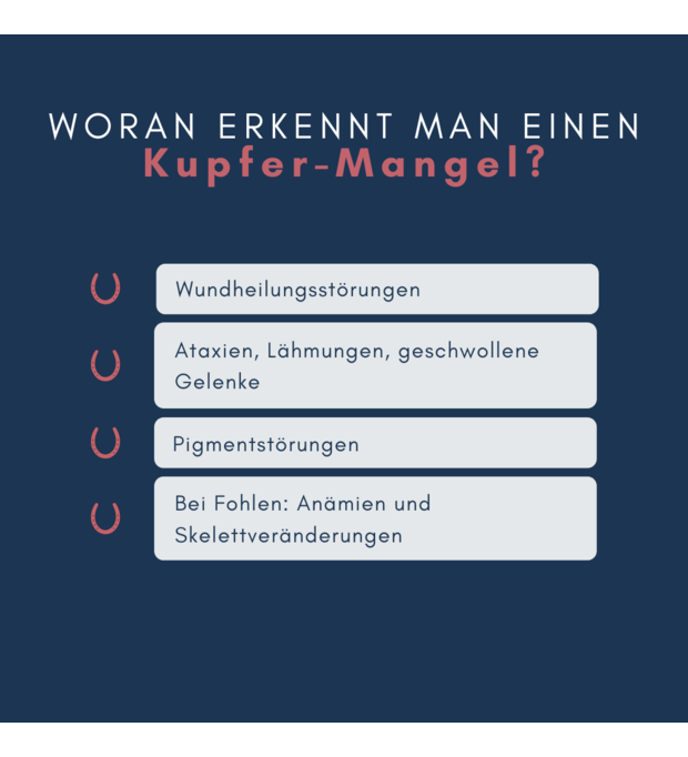 navalis orthosal Kupfer pferd lähmungen