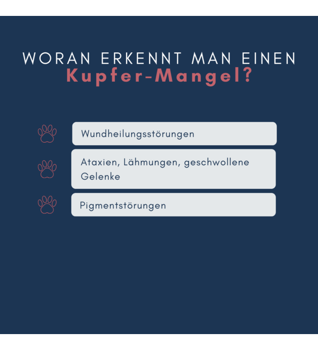 Navalis Kupfer hund pigment