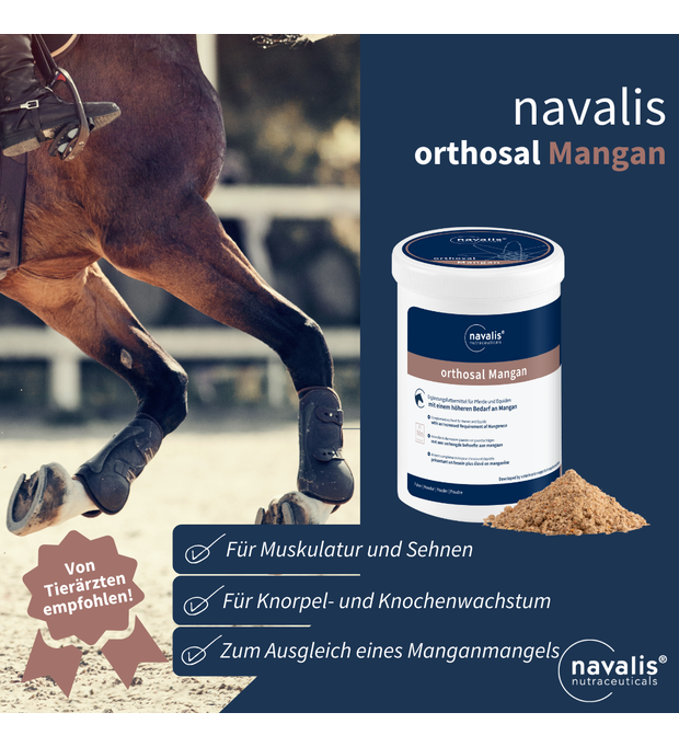 navalis orthosal Mangan pferd sehne