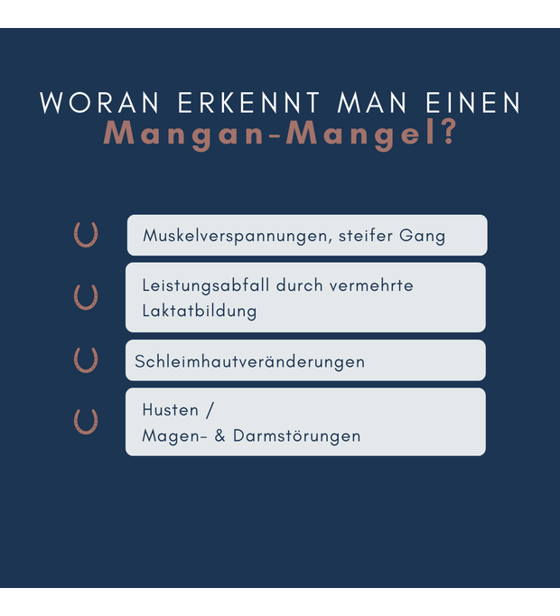 navalis orthosal Mangan pferd muskel