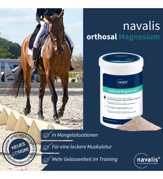 Navalis magnesium pferd muskulatur