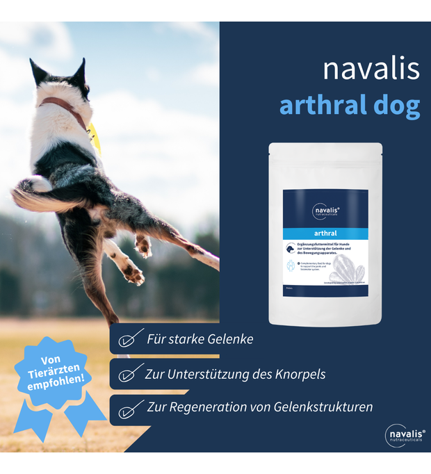 navalis arthral hund tierarzt