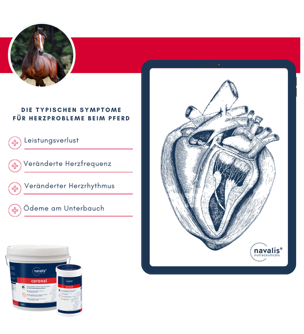 Navalis coronal leistungsverlust