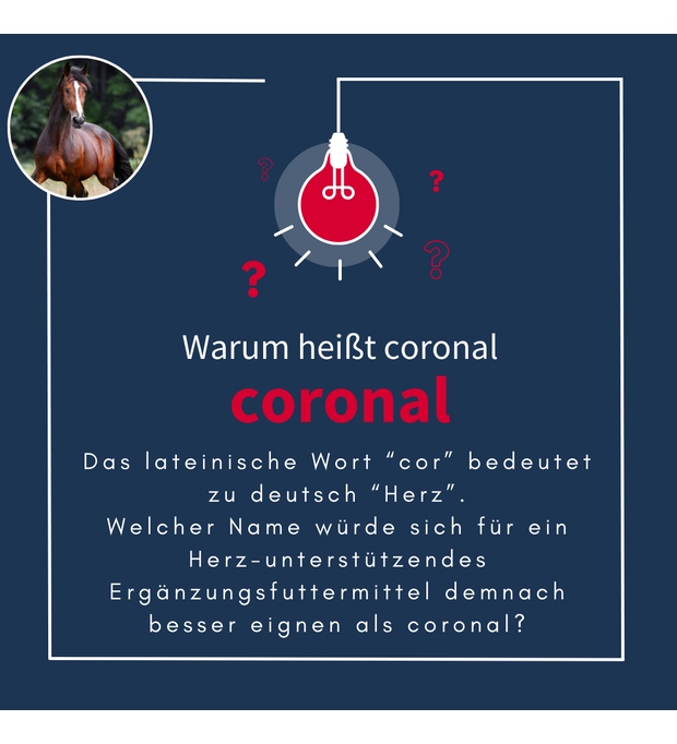 Navalis coronal herz