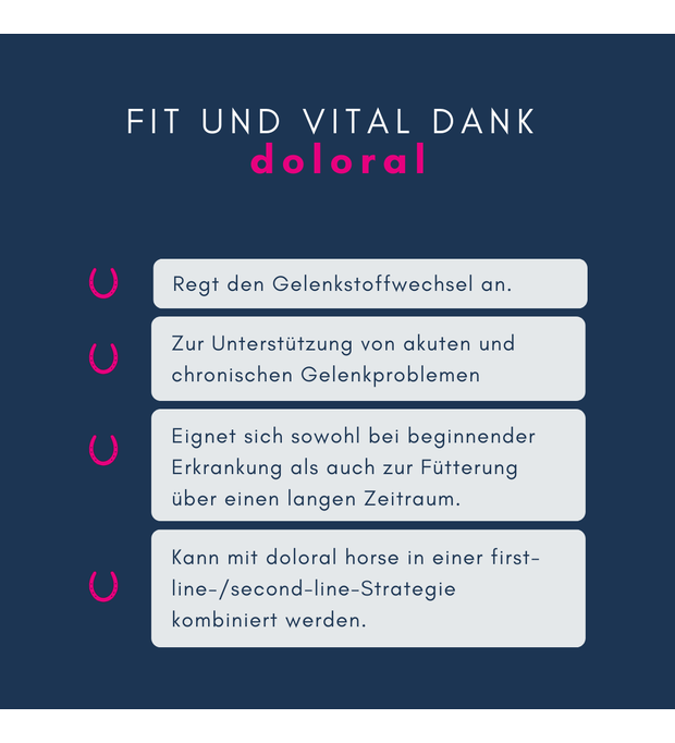 navalis doloral horse gelenk