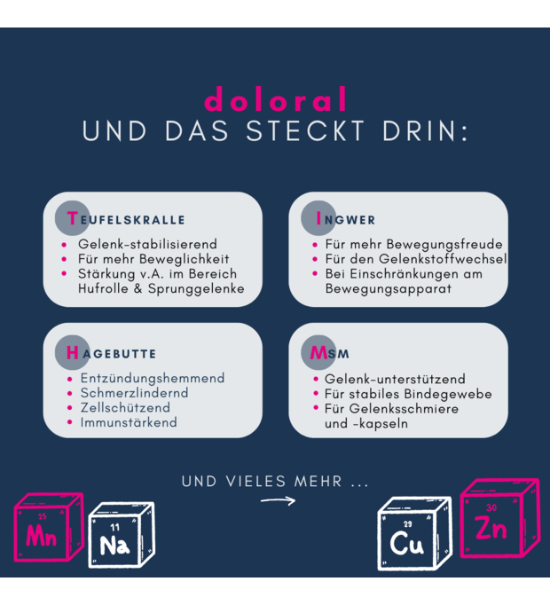 navalis doloral horse inhaltsstoffe