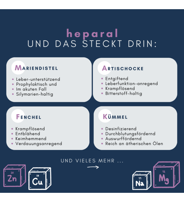 navalis heparal leber inhaltsstoffe