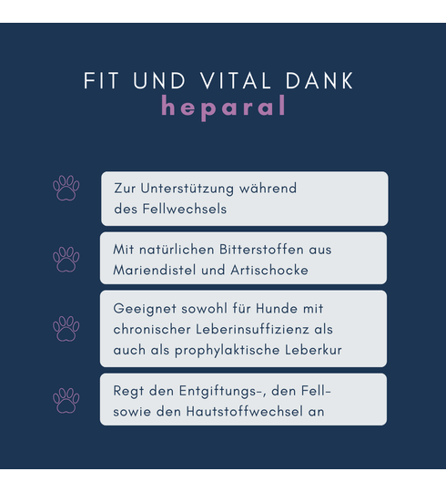 navalis heparal hund leber