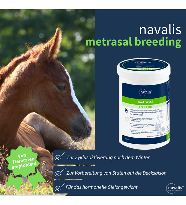 navalis metrasal breeding stute