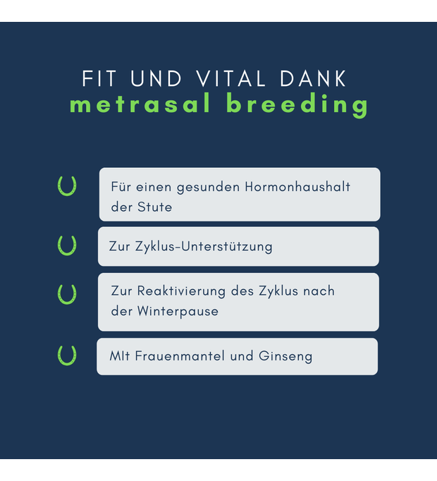 navalis metrasal breeding zyklus stute