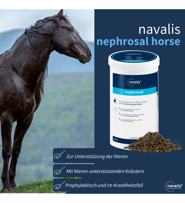 navalis nephrosal horse niere kräuter