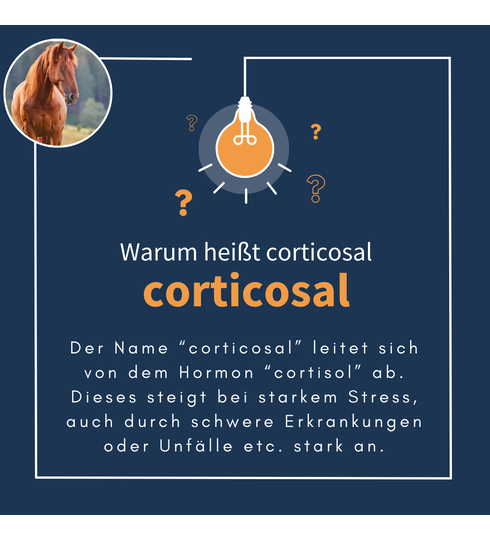 navalis corticosal cushing cortisol