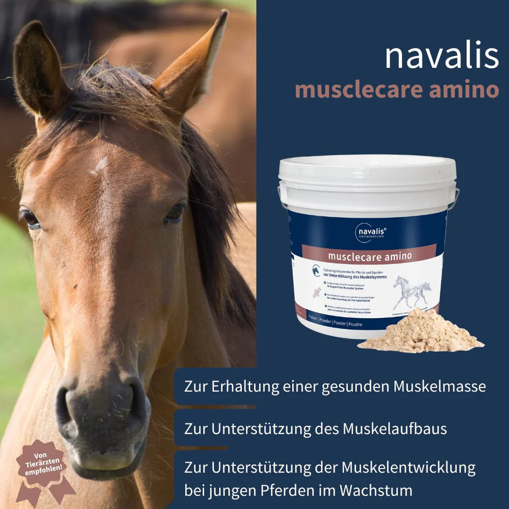 navalis musclecare amino horse 1,8 kg