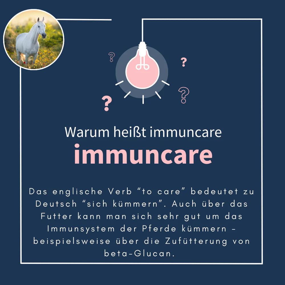 navalis immuncare horse immunsystem