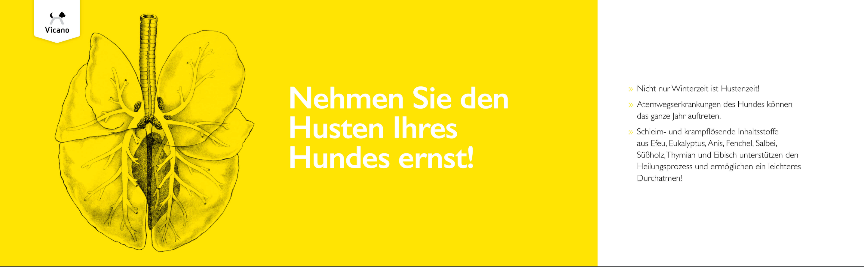 Vicano Broncho Forte