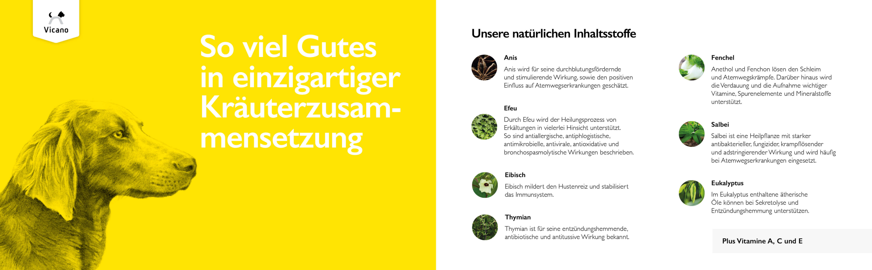 Vicano Broncho Forte