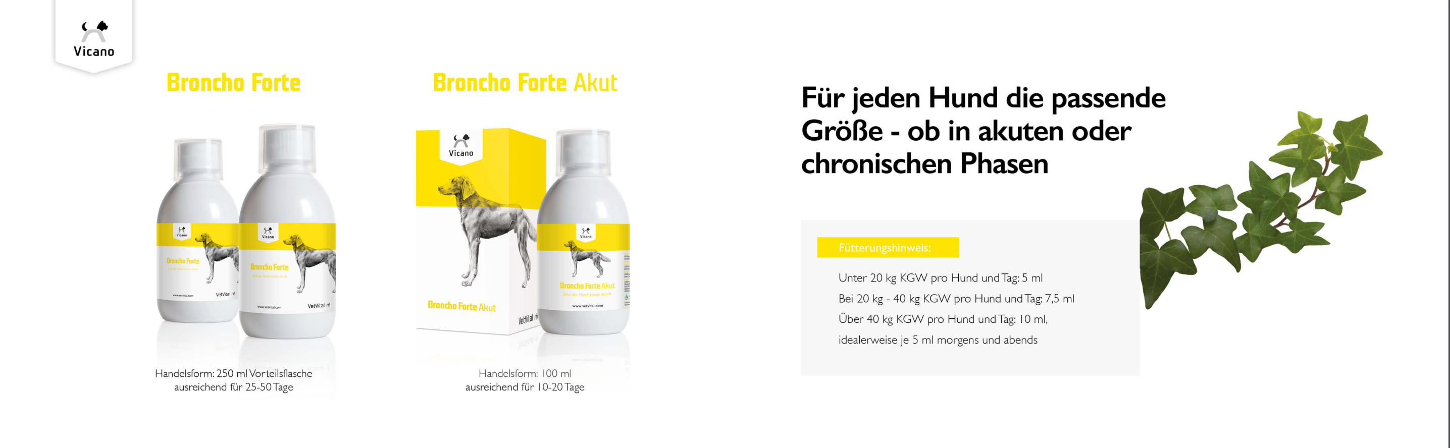 Vicano Broncho Forte