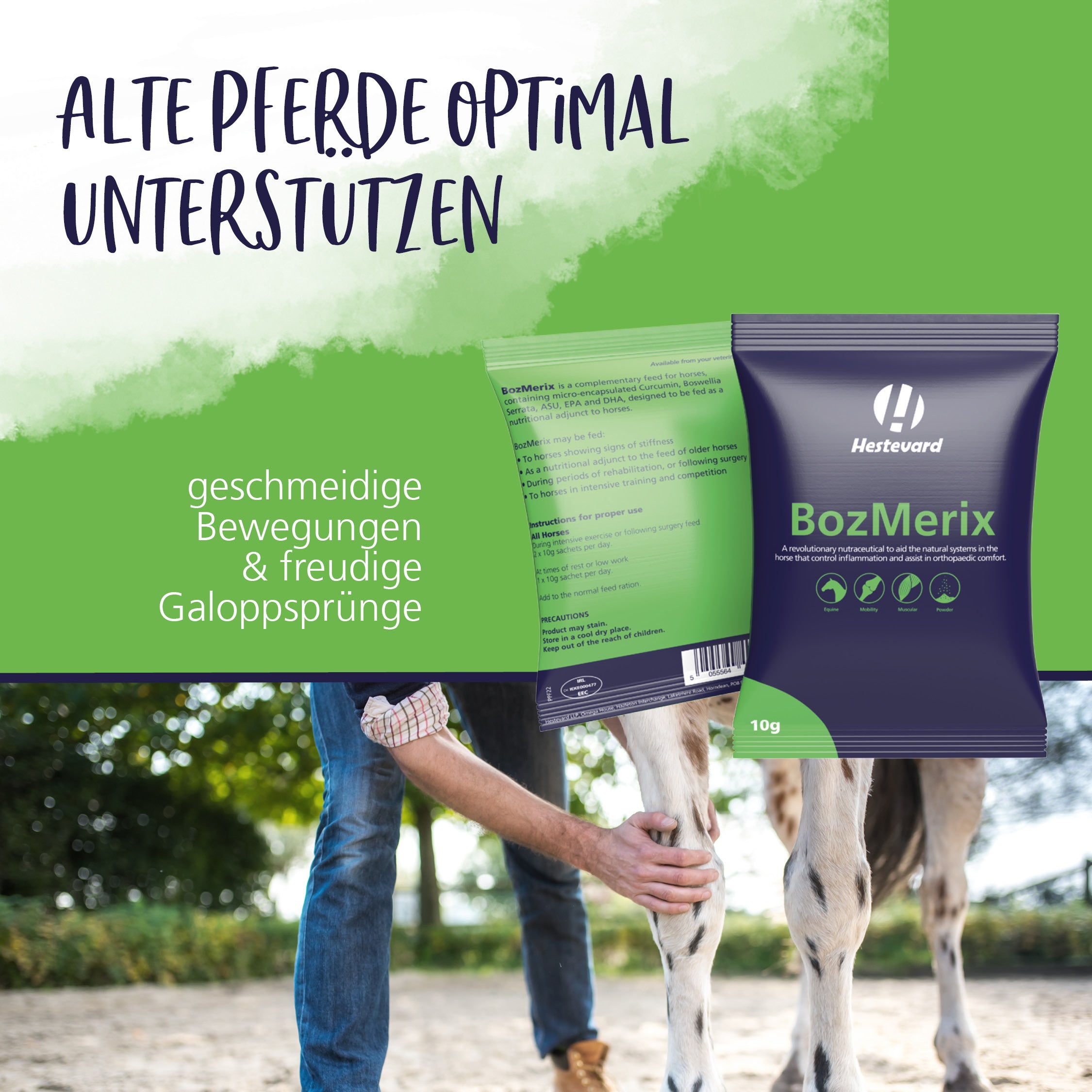altes Pferd Hestevard BozMerix
