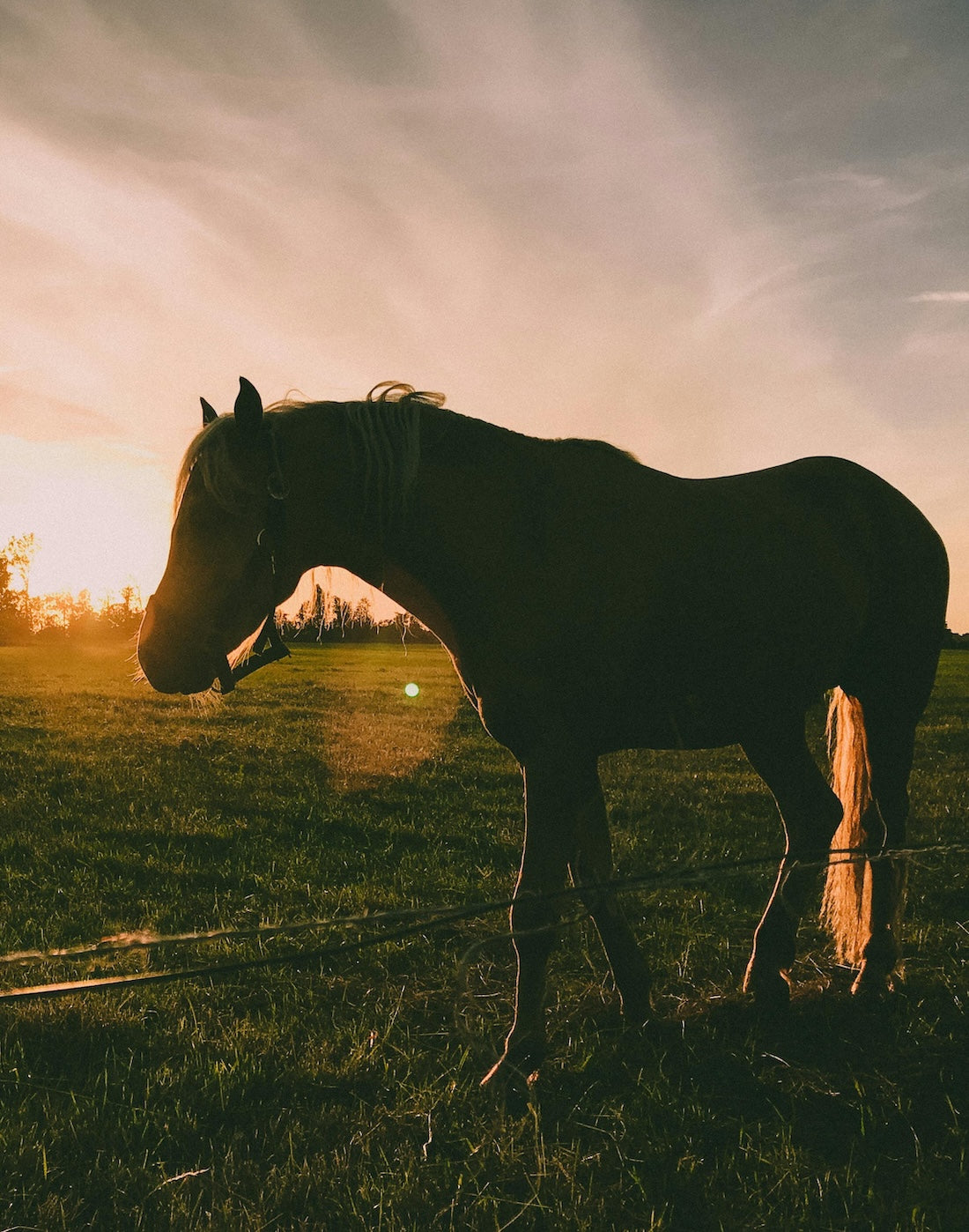 Das Beste für deinen Senior