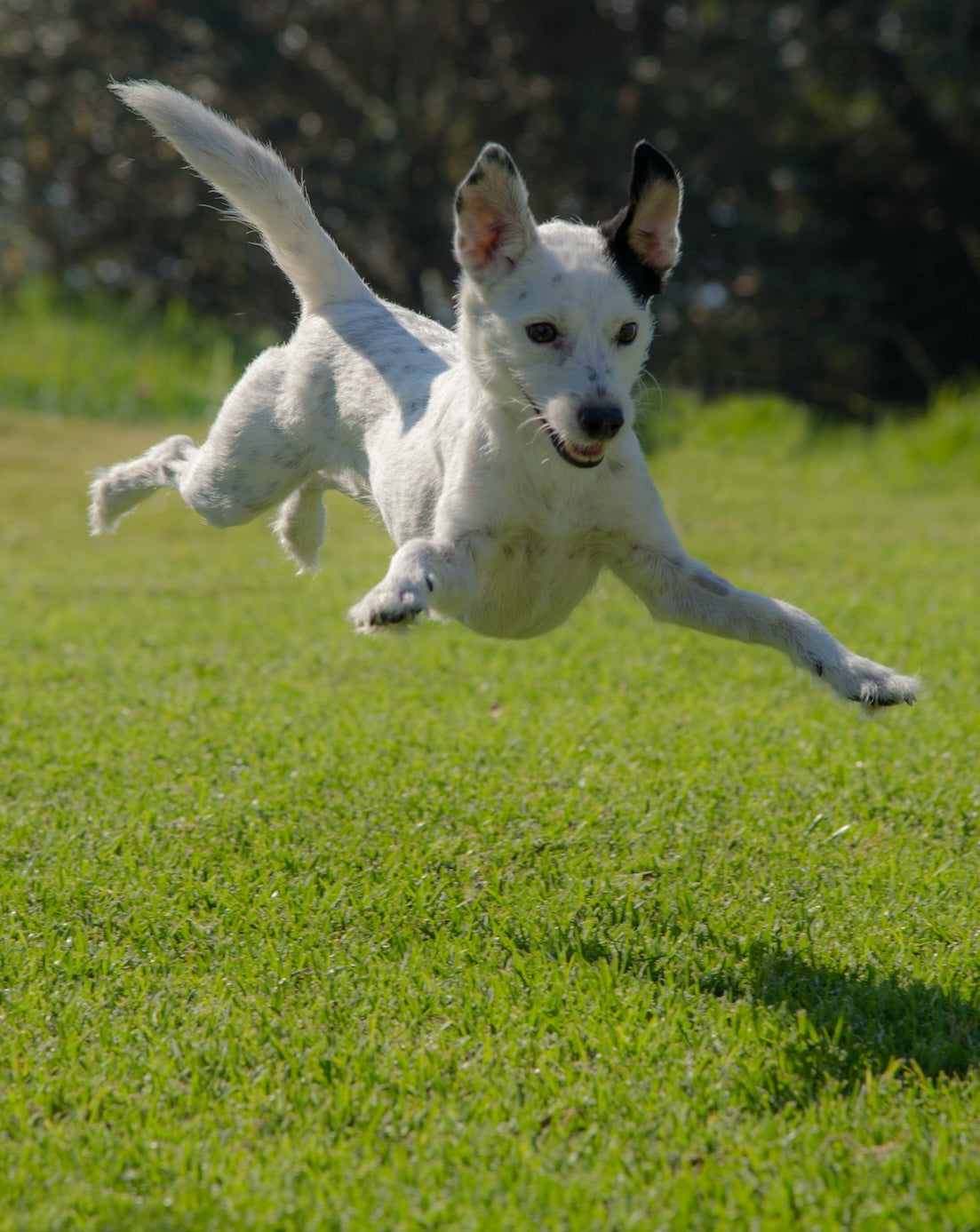 Das Beste für volle Bewegungsfreude