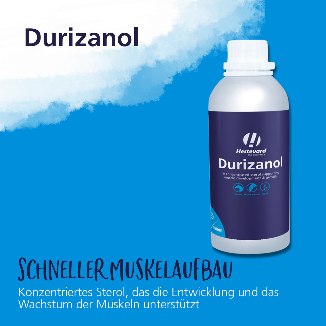 hestevard durizanol muskelaufbau