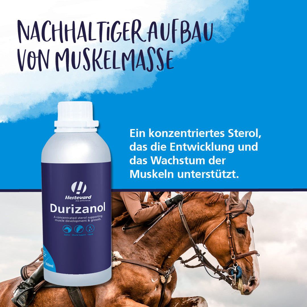 hestevard durizanol sterol