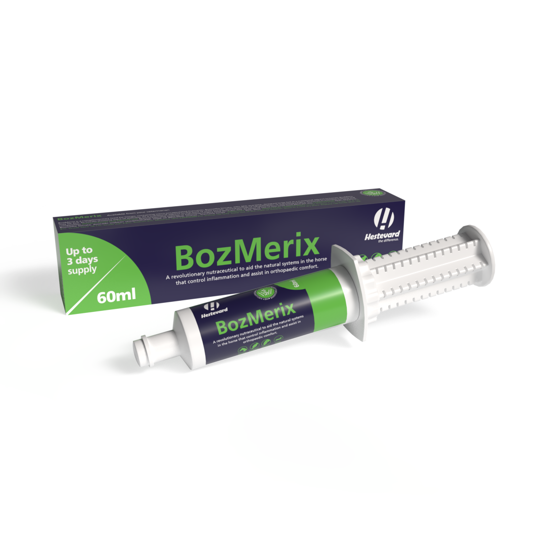 Hestevard Bozmerix Paste 60ml – Natürliche Gelenk