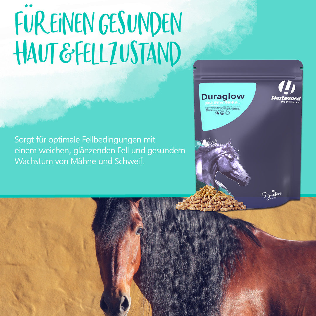 Hestevard Duraglow für gesundes Fell – 1,5 kg | Pferdepflege