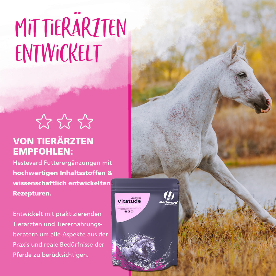 Tierarzt Hestevard Vitatude +PROTEIN