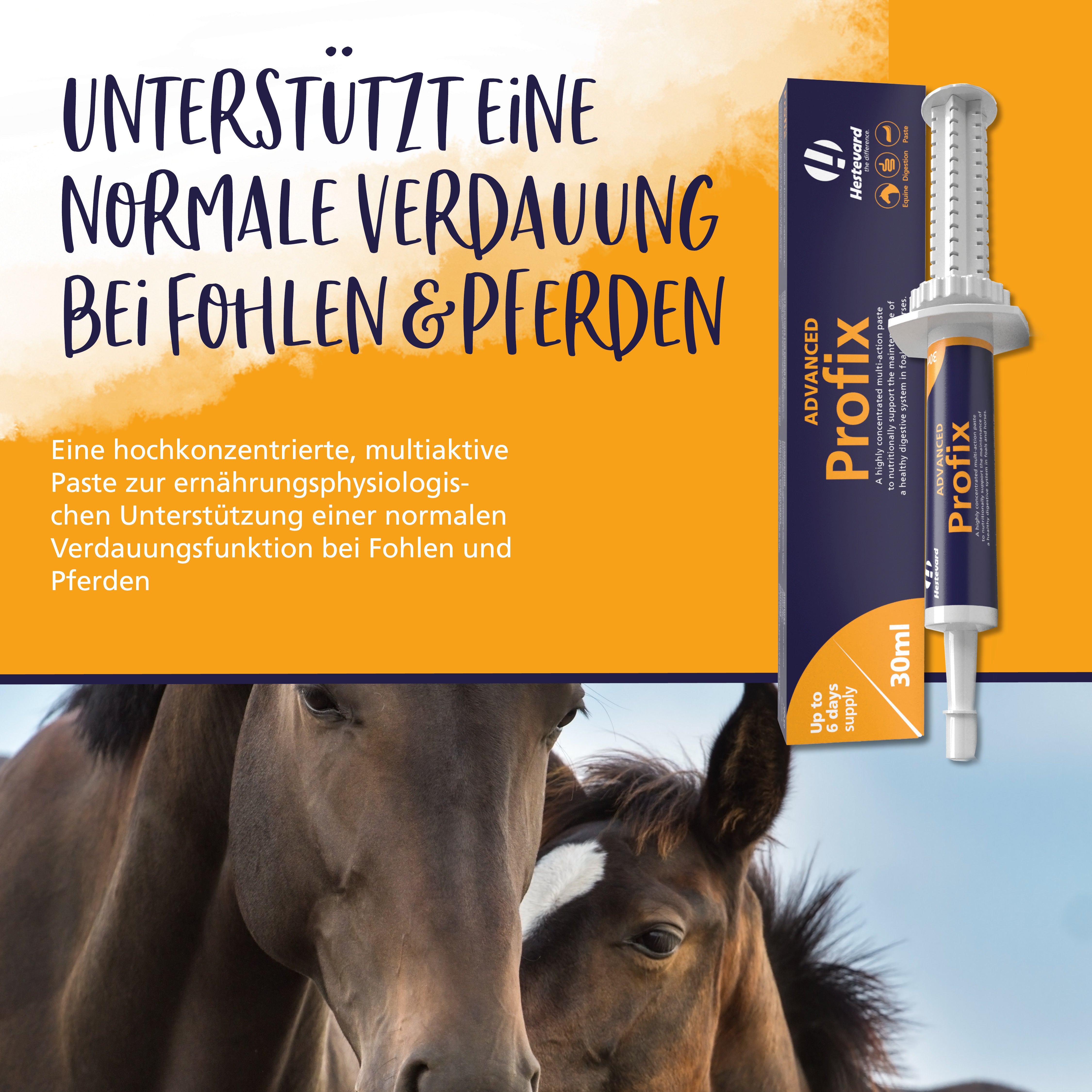Hestevard Profix ADVANCED verdauung fohlen