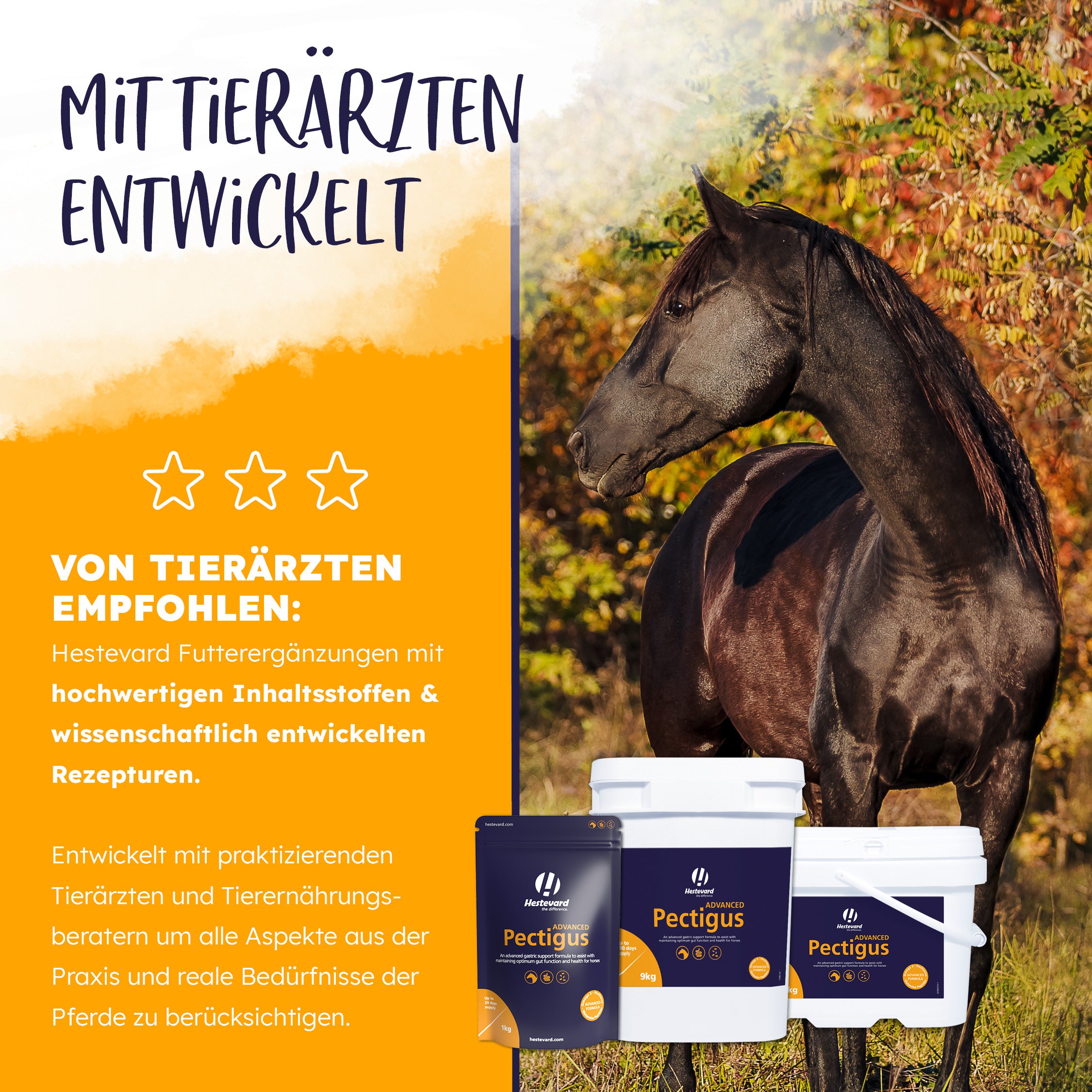 Tierarzt Hestevard Pectigus