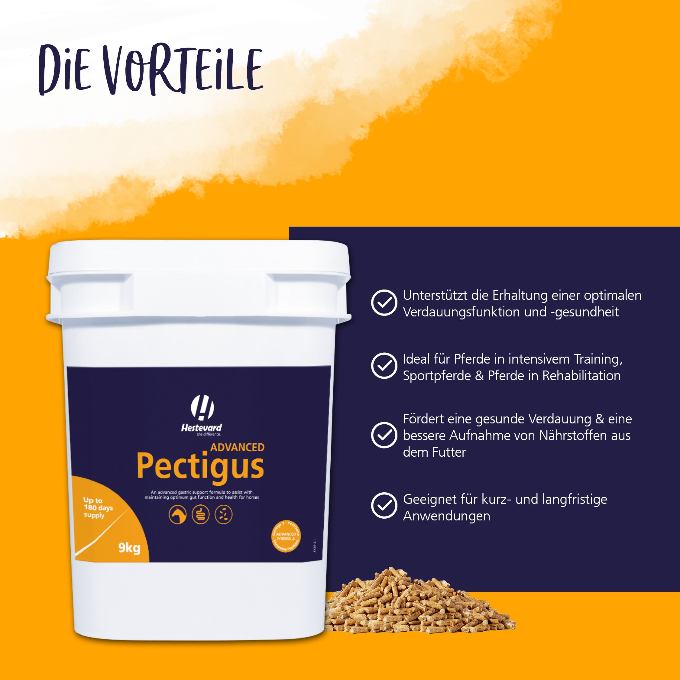 Vorteile Hestevard Pectigus