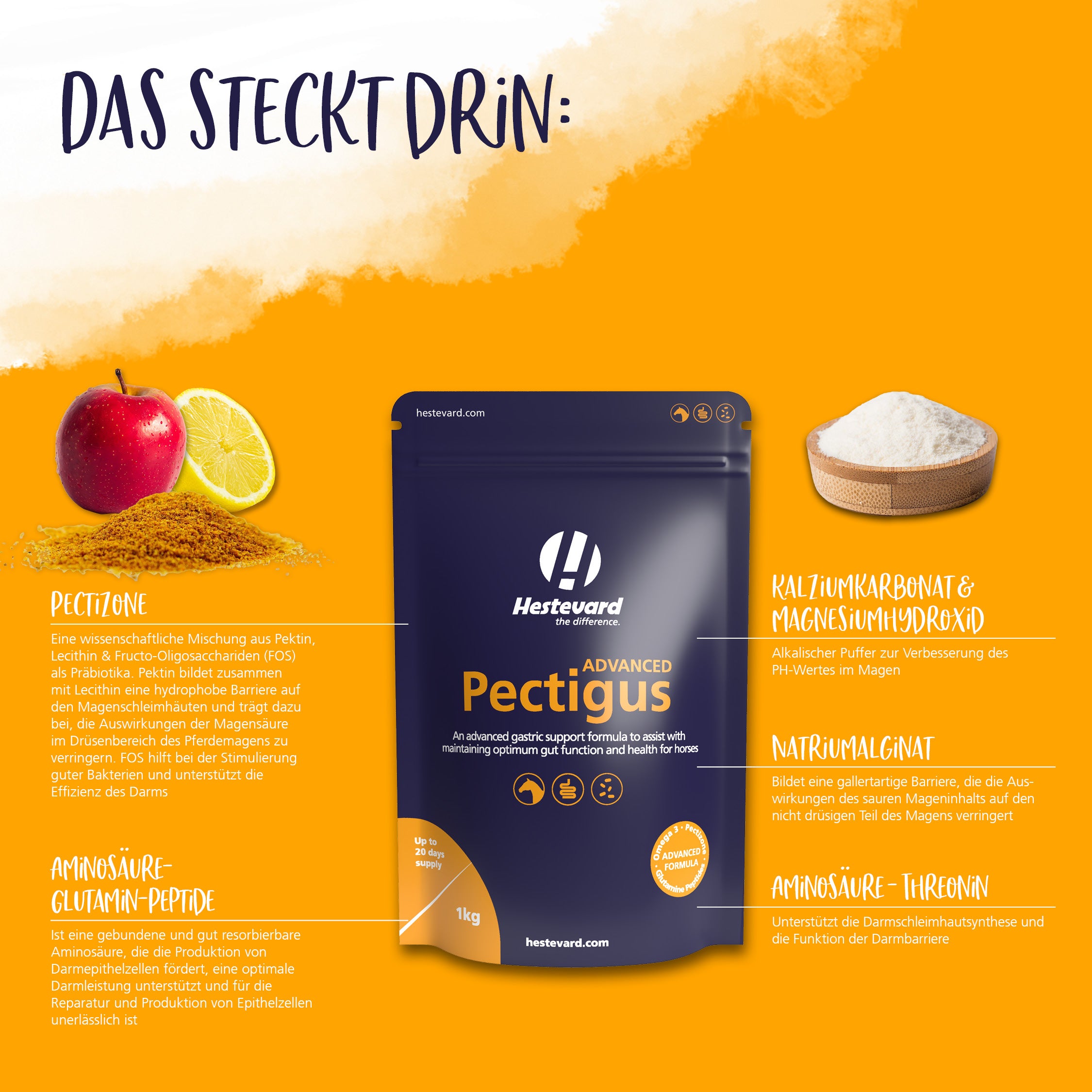 Inhalt Hestevard Pectigus