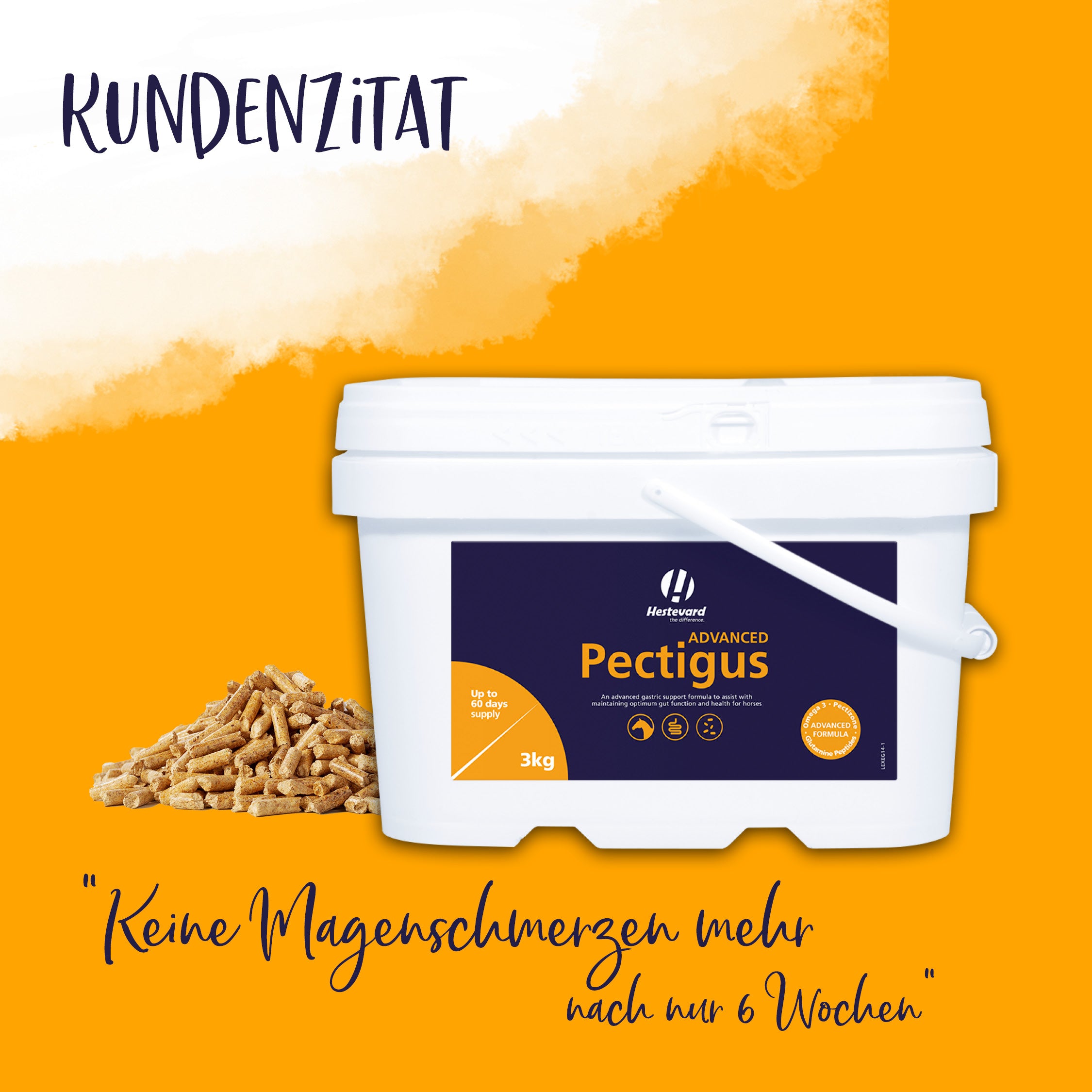 Magenschmerzen Hestevard Pectigus