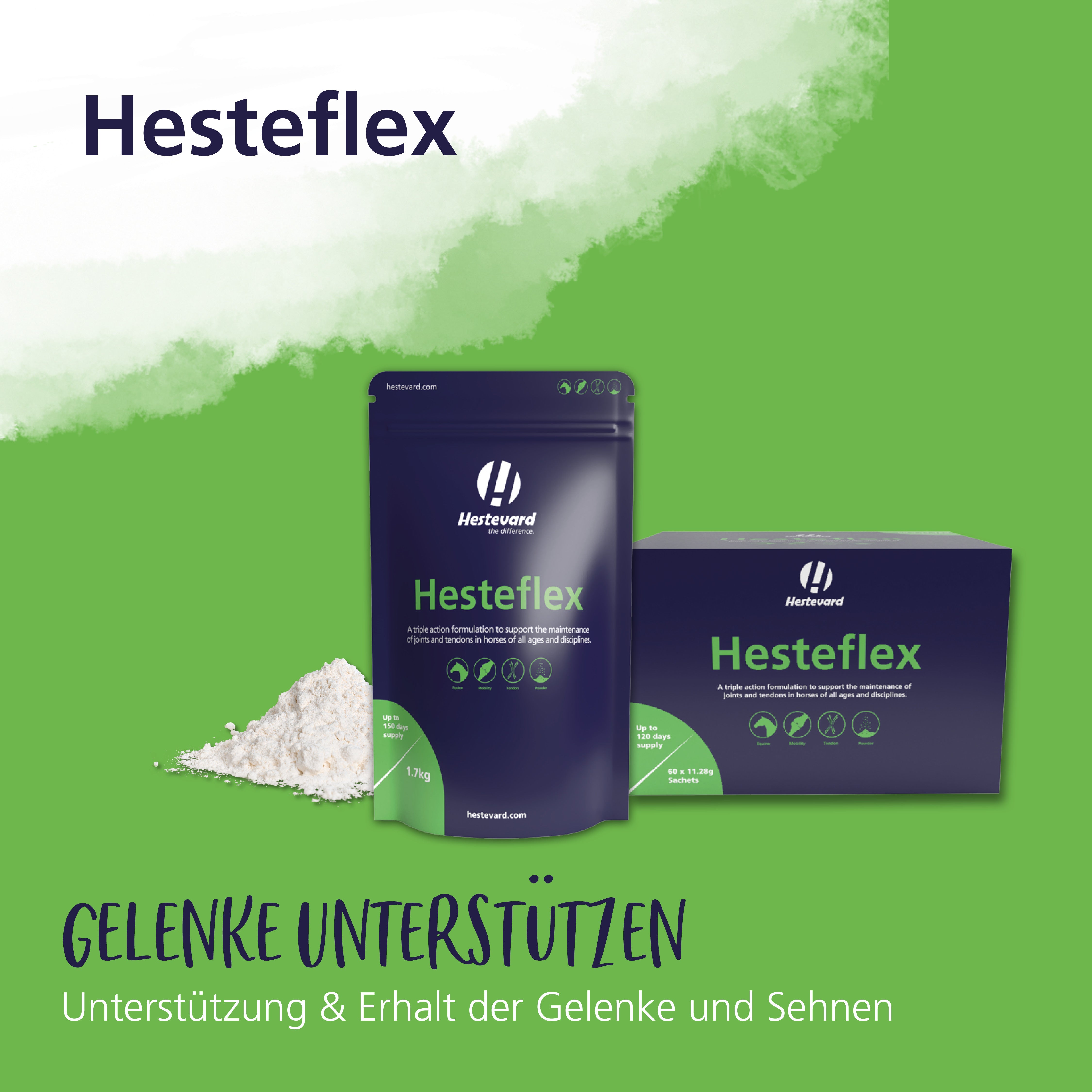 hesteflex gelenk