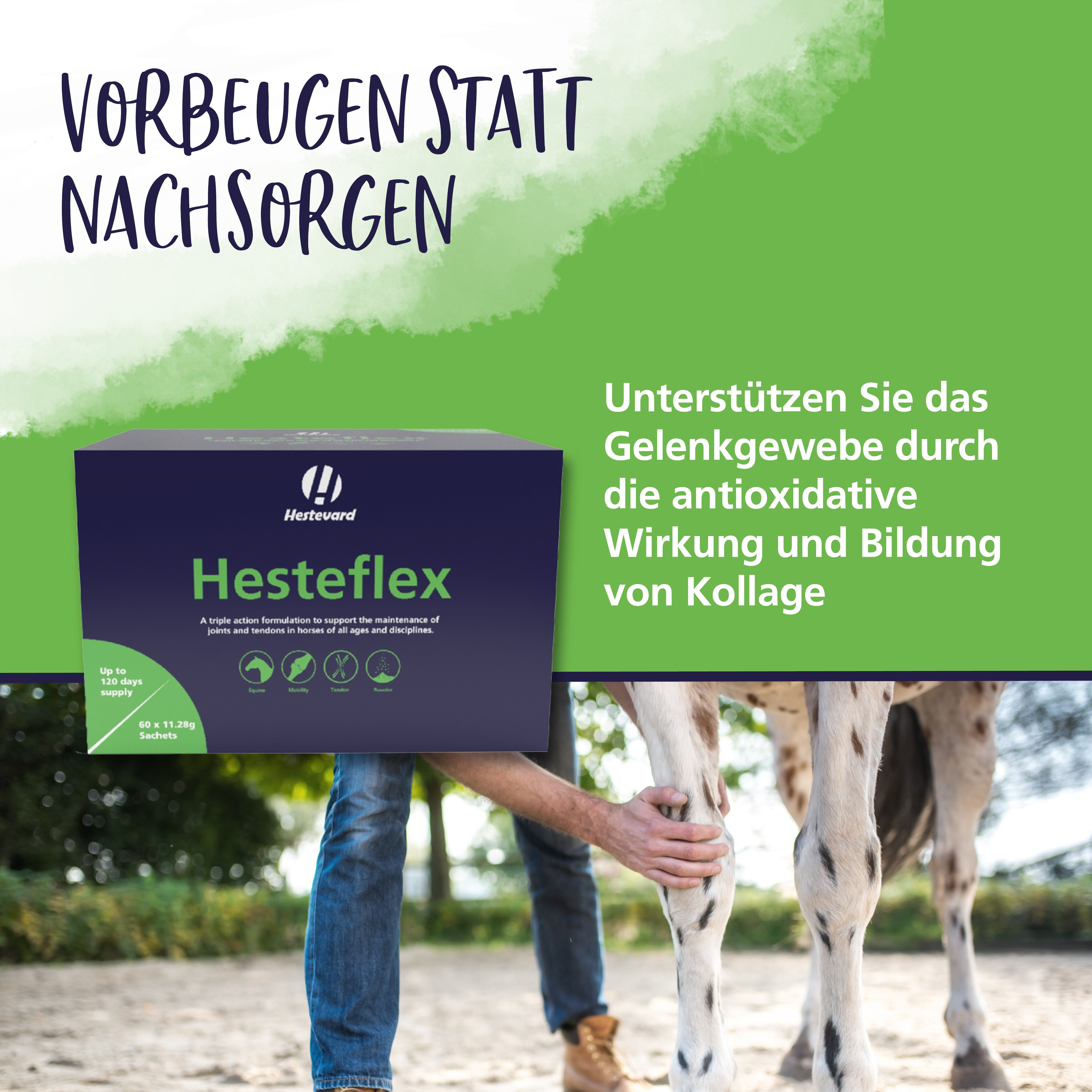 hesteflex kollagen