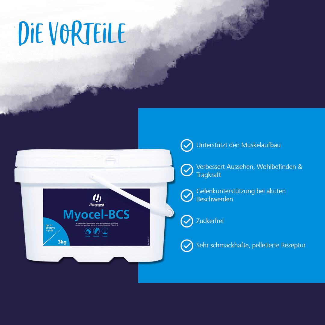 Hestevard Myocel vorteile