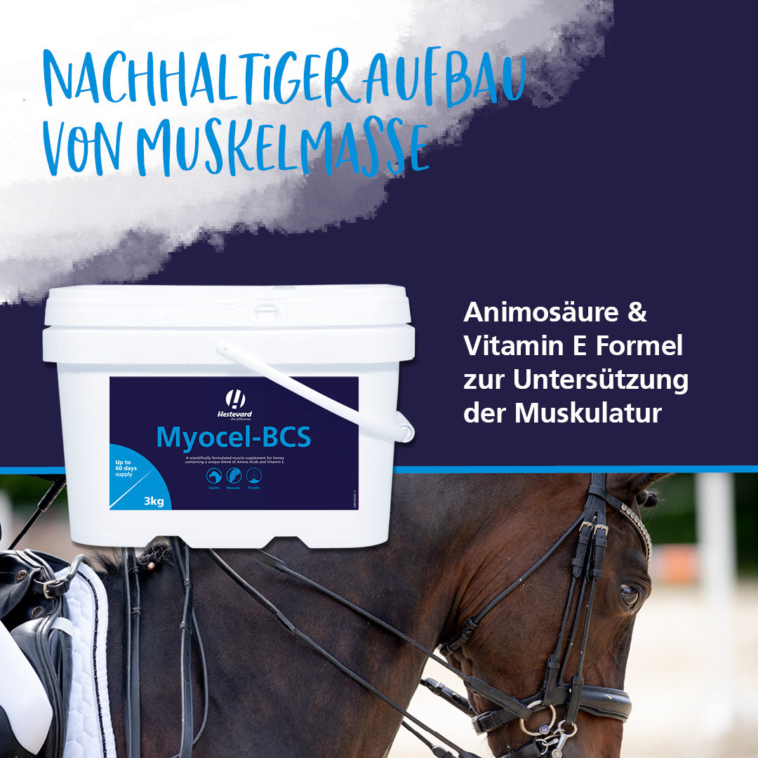 Hestevard Myocel aminosäuren vitamin e