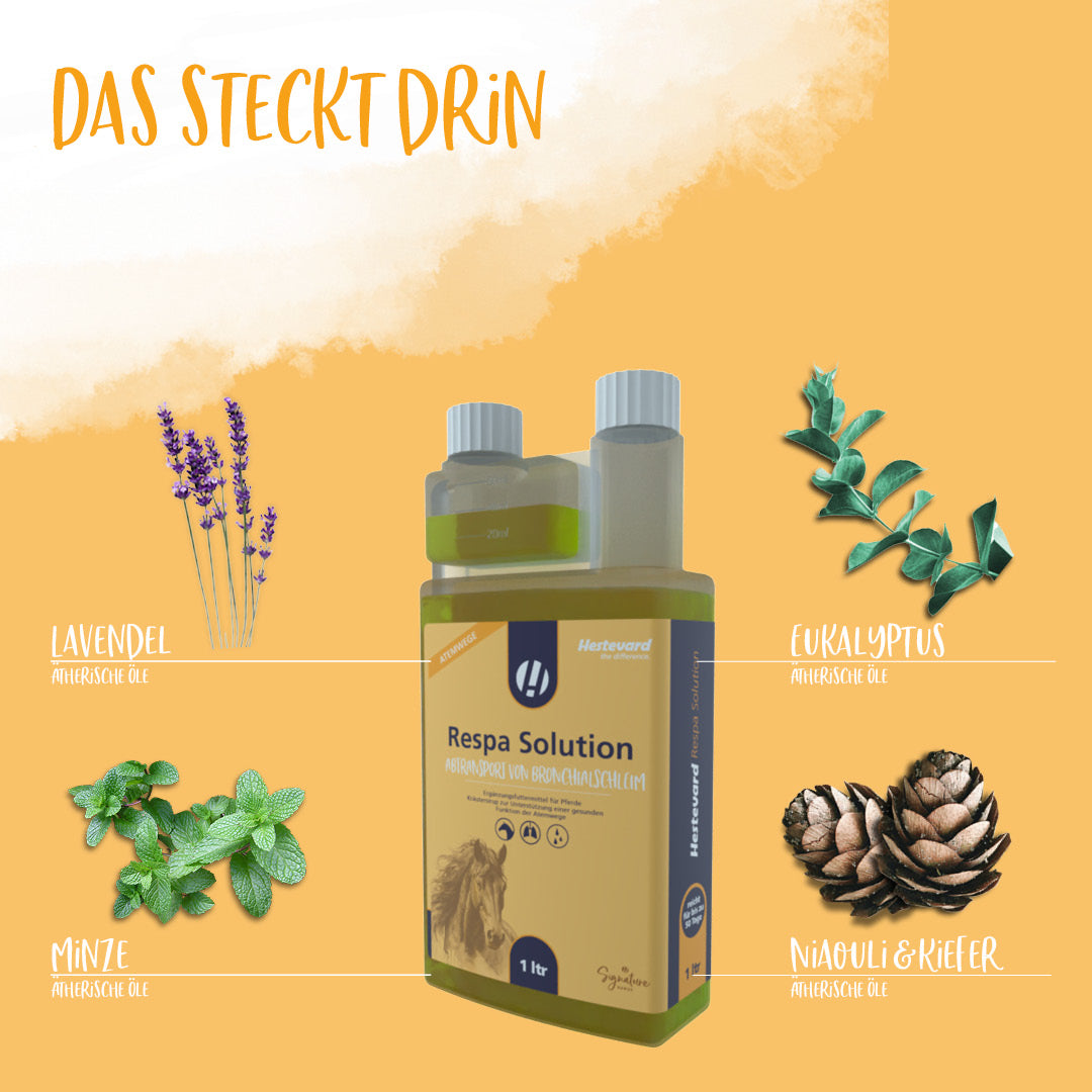 Inhalt Hestevard Respa Solution