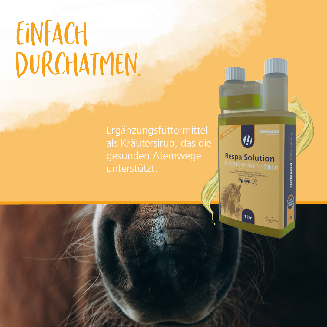 Atmung Hestevard Respa Solution