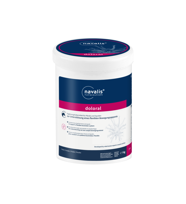 navalis doloral horse