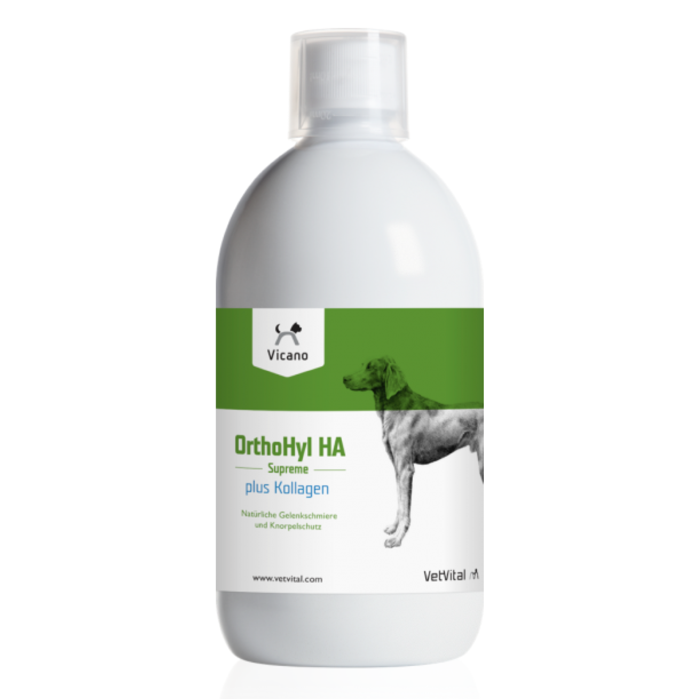 Vicano OrthoHyl HA plus Kollagen