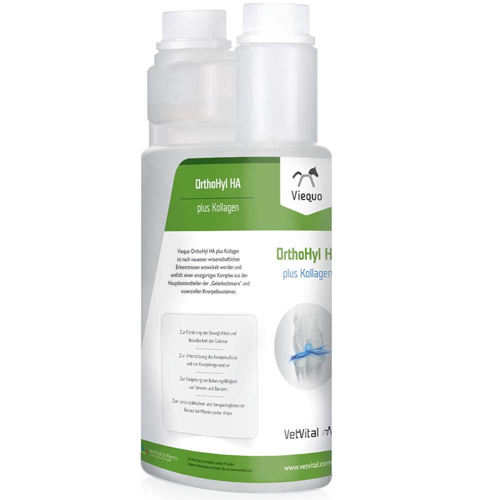 Viequo OrthoHyl HA Plus Kollagen