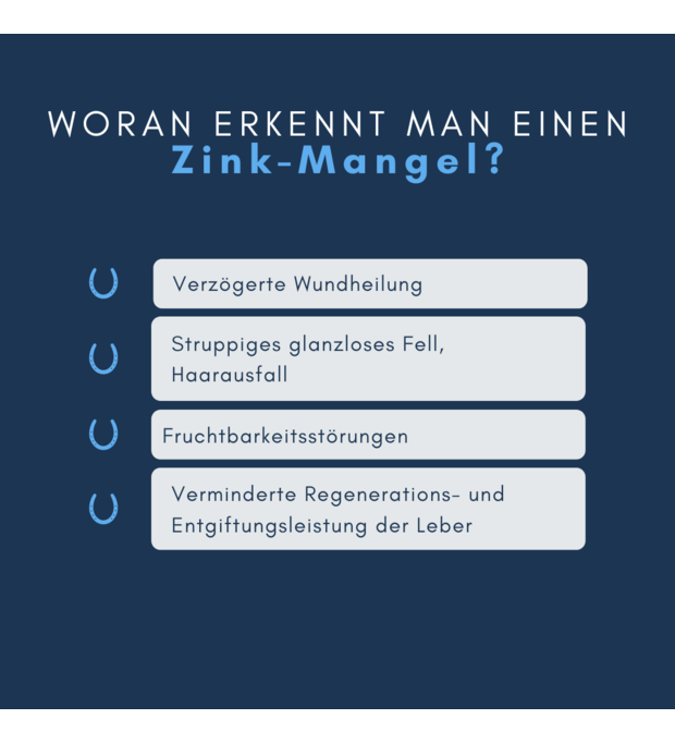 navalis zink pferd struppiges fell