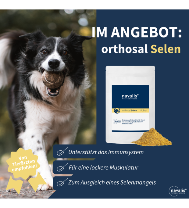 navalis orthosal Selen dog