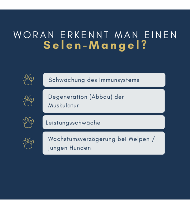 navalis orthosal Selen hund lesitungssschwäche