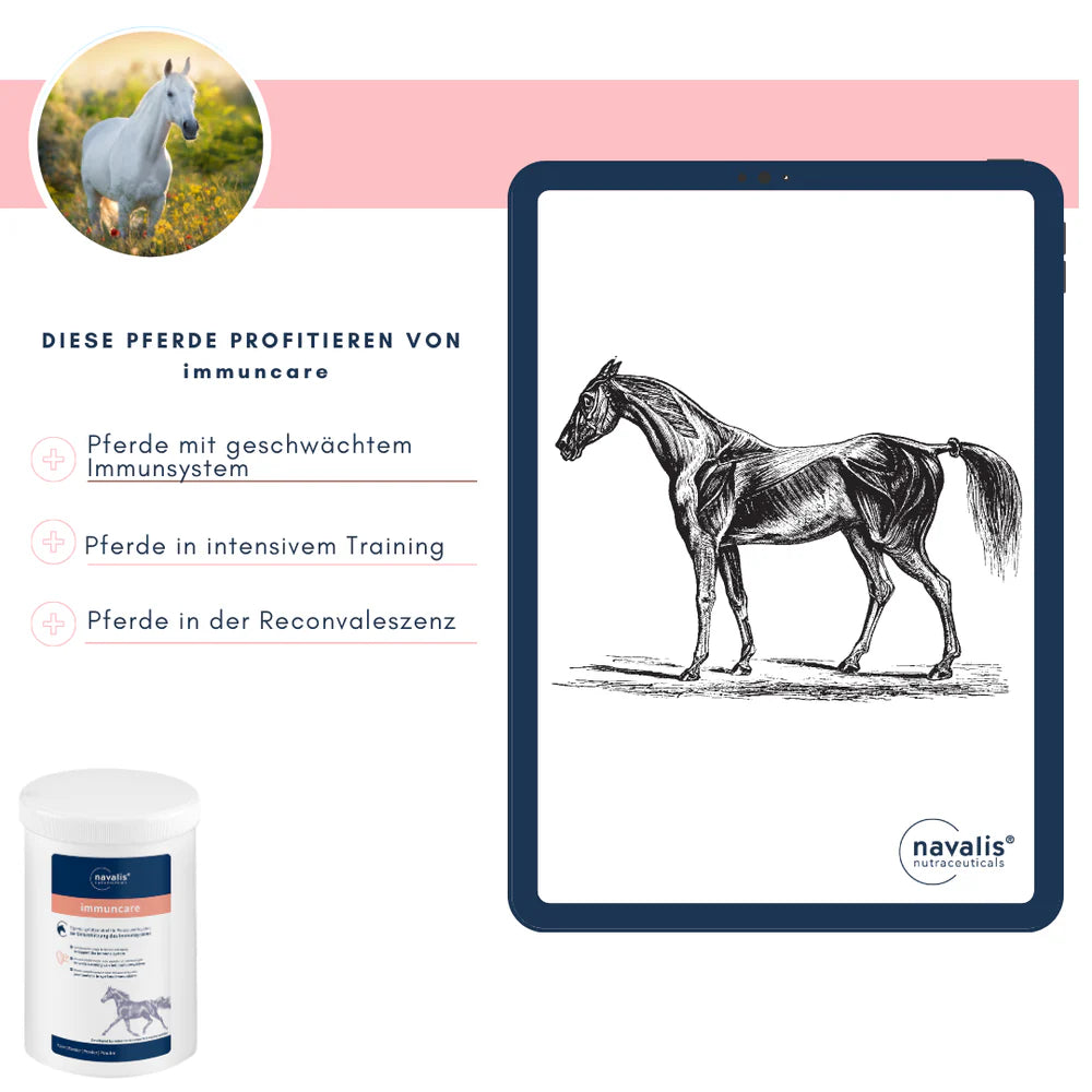 navalis immuncare horse reconvaleszens