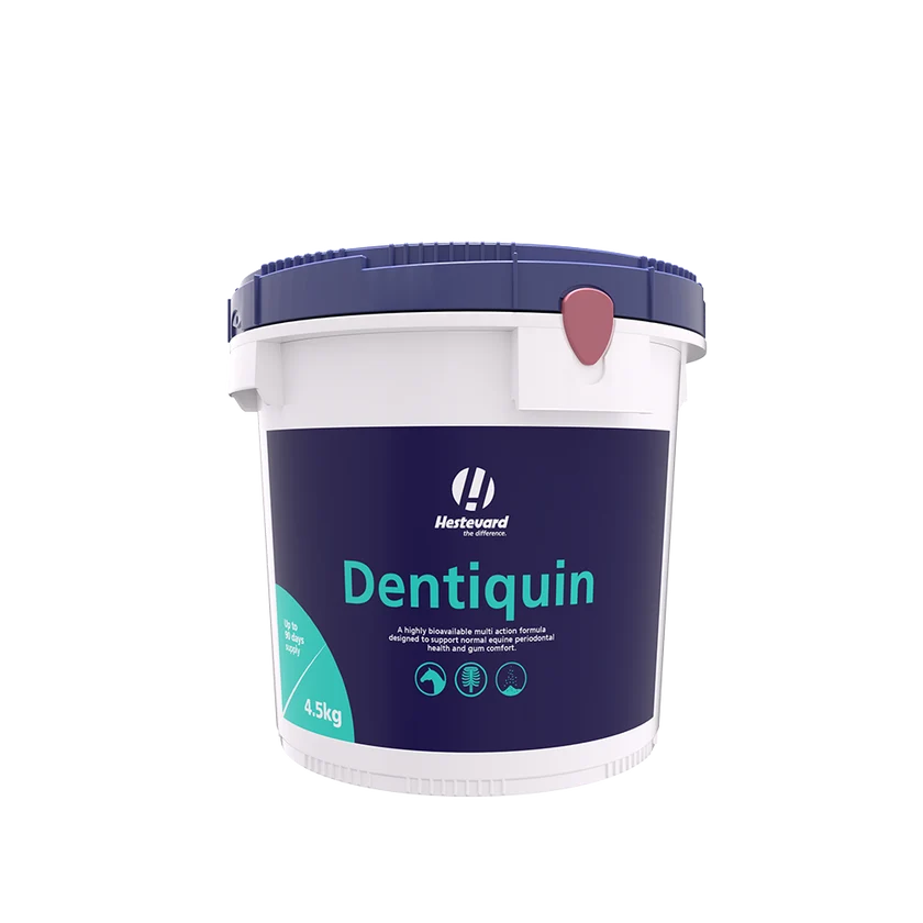Hestevard Dentiquin